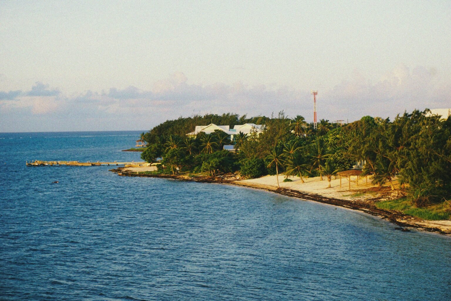 pexels-yoshi-tatsumi-409204422-29259548